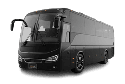 40 Passenger Mini Coach