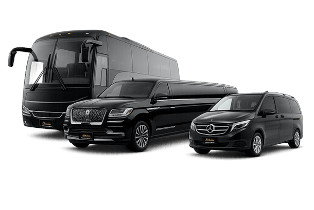 The full Chicago Limos Inn fleet